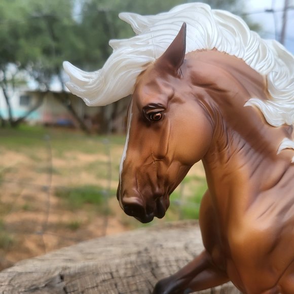 2021 premier club Braveheart - Picture 2 of 7